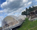 Лисички-сестрички: отзыв от Ольга Романова