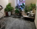 СЕМЬЯ: отзыв от roma_han1982@gmail.com Ханнанов