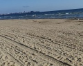 Морская волна: отзыв от Городской житель