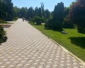 Витязь: отзыв от Ляйсан Гатина