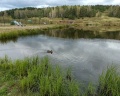 Апартель: отзыв от Виктория Шатрова
