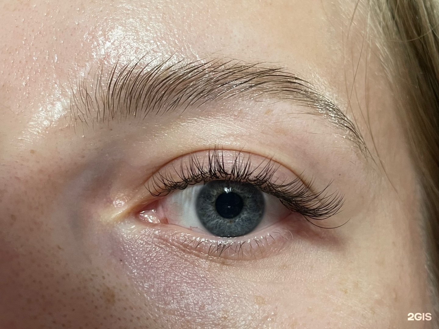 Lash&BrowClub, студия красоты, ТОЦ Miller Center, проспект Испытателей, 37,  Санкт-Петербург — 2ГИС