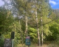 Парк «Покровское-Стрешнево»: отзыв от Александра Жойдик