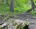 Тавдинские пещеры: отзыв от Елена Власова