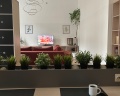 Репа: отзыв от Lana Neu
