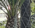 ЛооБич Горный Воздух: отзыв от Татьяна Гармашова
