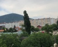 Ника: отзыв от Жанна Хачиян