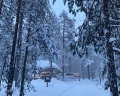 Forest lake: отзыв от Юли Я