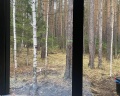 Lipkiglamp: отзыв от Ксения Калинина