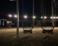 Loft №12: отзыв от P F