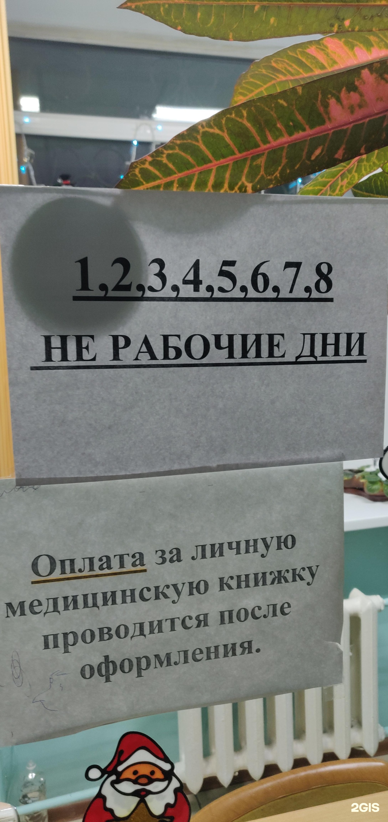 Центр гигиены и эпидемиологии в Хабаровском крае, улица Тургенева, 62,  Хабаровск — 2ГИС