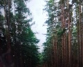 Радуга: отзыв от Городской житель