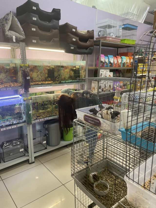 Омск зоомагазины каталог