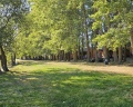 Серебряный ключ: отзыв от Елена Андрианова