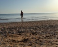 Lotos Hotel: отзыв от ★ ★ ★ ★ ★