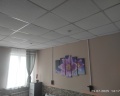 М53: отзыв от Евгений Коновалов
