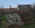 Apart M: отзыв от Владислав Ефимов