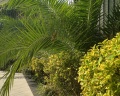 Green house detox&SPA: отзыв от Ренат Р