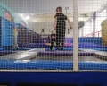 Пингвин: отзыв от Юлия Сереброва