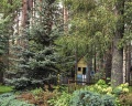 Манжерок: отзыв от Fox Klementina