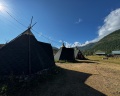 Шавло: отзыв от Sayora Kolesnichenko