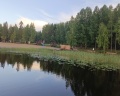 Беломорье: отзыв от Любовь Кононова