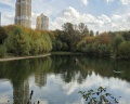 Парк 50-летия Октября: отзыв от Алексей