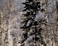 White hill: отзыв от Светлана Светлана