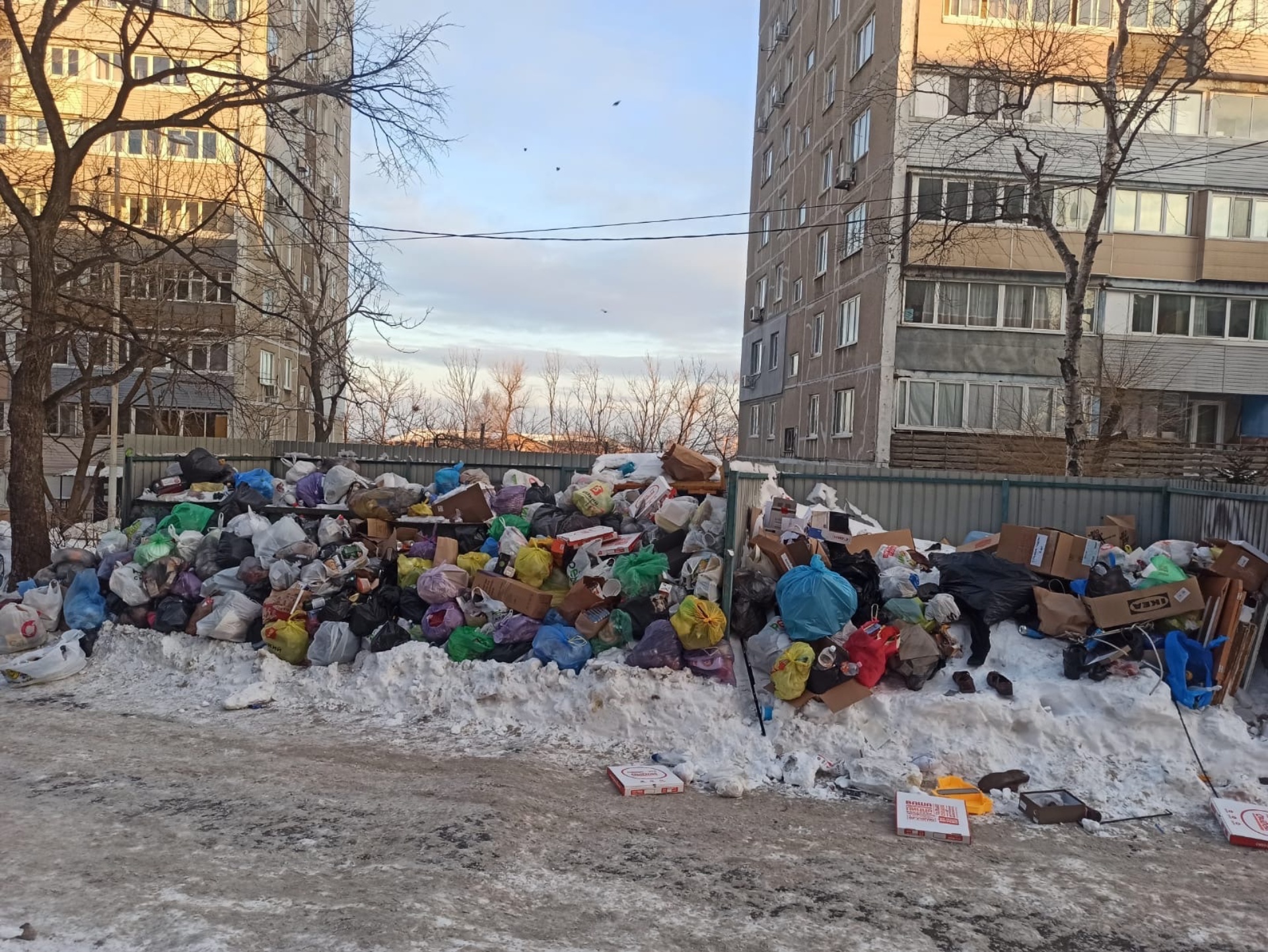 Комплексное обслуживание домов, управляющая компания, улица Башидзе, 12,  Владивосток — 2ГИС