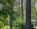 Классика: отзыв от Ксения Пасько