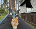 Подснежник: отзыв от Егор