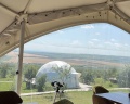 The Garden: отзыв от Ангелина Васина