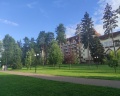 Ареал: отзыв от Дарья Терентьева