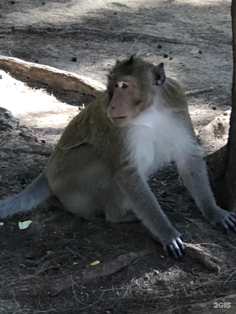 Ақырындап еще қызды