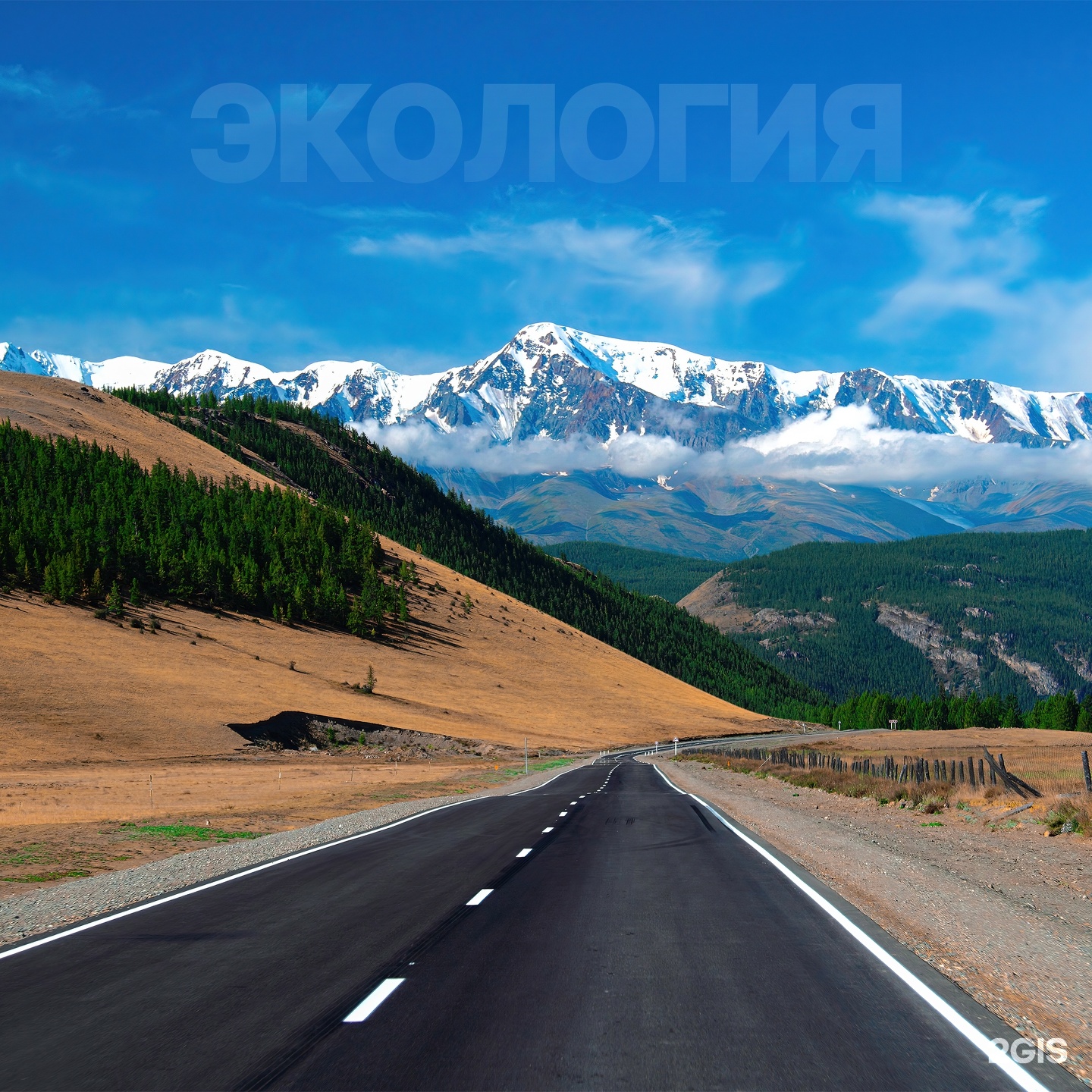 Асгард, рекламное производство, Демьяна Бедного, 55, Новосибирск — 2ГИС