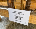 Сны Леса: отзыв от Елена Гриценко