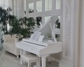 Ария: отзыв от Юлия Моисеева