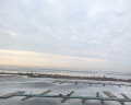 Terijoki hotel&spa: отзыв от Oleg Sitnikov