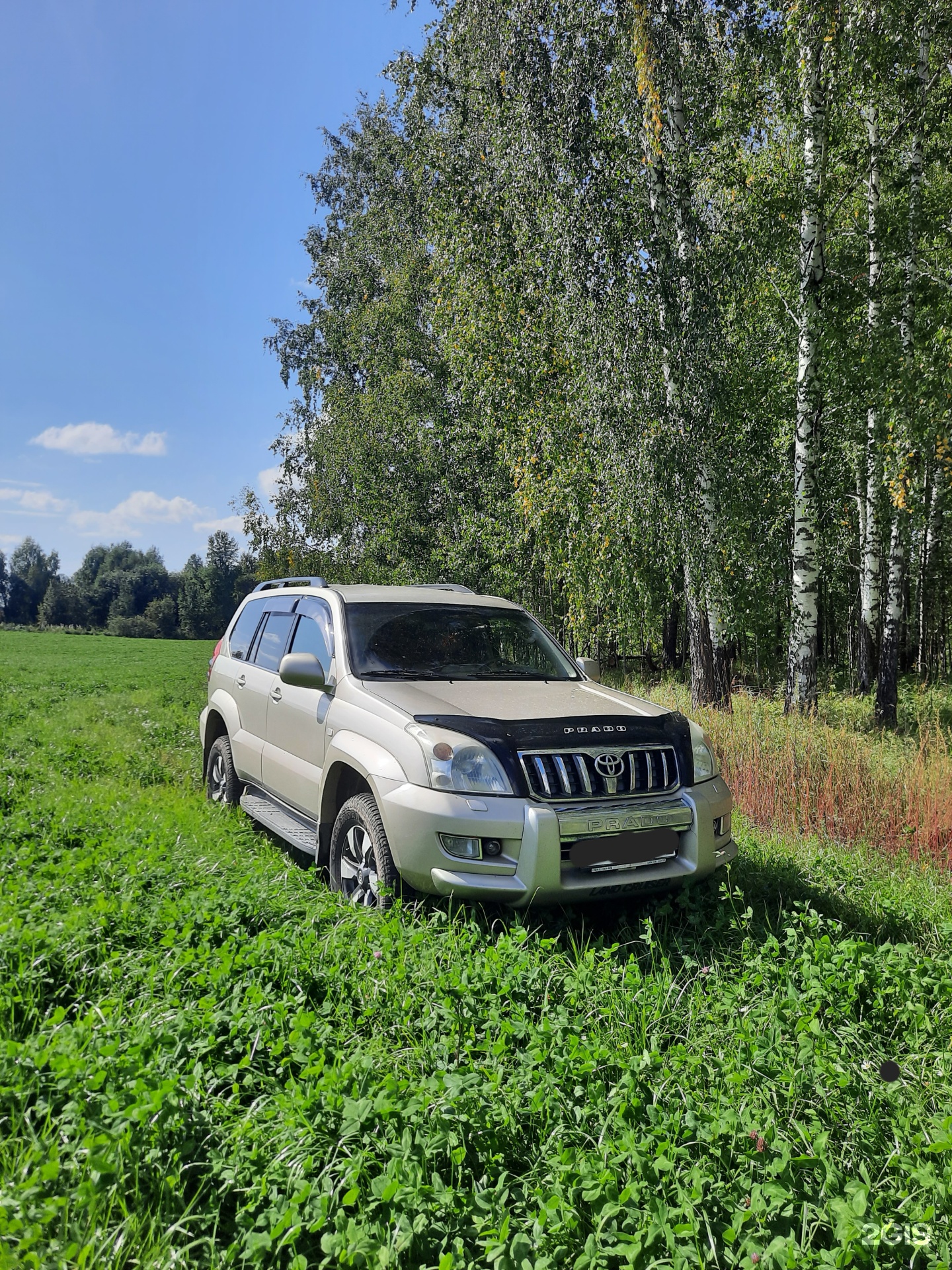 Вив-Авто, автокомплекс, Раздольная, 2, Томск — 2ГИС