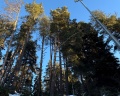 Баринъ: отзыв от Александра Колкова