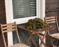 BaikalWood Hotel&SPA: отзыв от Мария Мустакаева