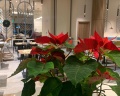 Hampton by hilton Krasnodar: отзыв от Олег Ильин