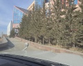 Azimut: отзыв от НАТАЛЬЯ Ш