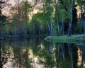 Green House: отзыв от Девушка Девушка
