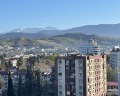 Atlant city: отзыв от Полина 🐾