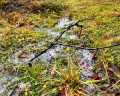 Forrest Lodge Karelia: отзыв от Marina Bagaeva