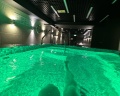 Renartiss Isaakiy St. Petersburg hotel: отзыв от Алина Зарипова