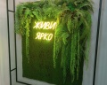 AM Hotels: отзыв от Eugenia