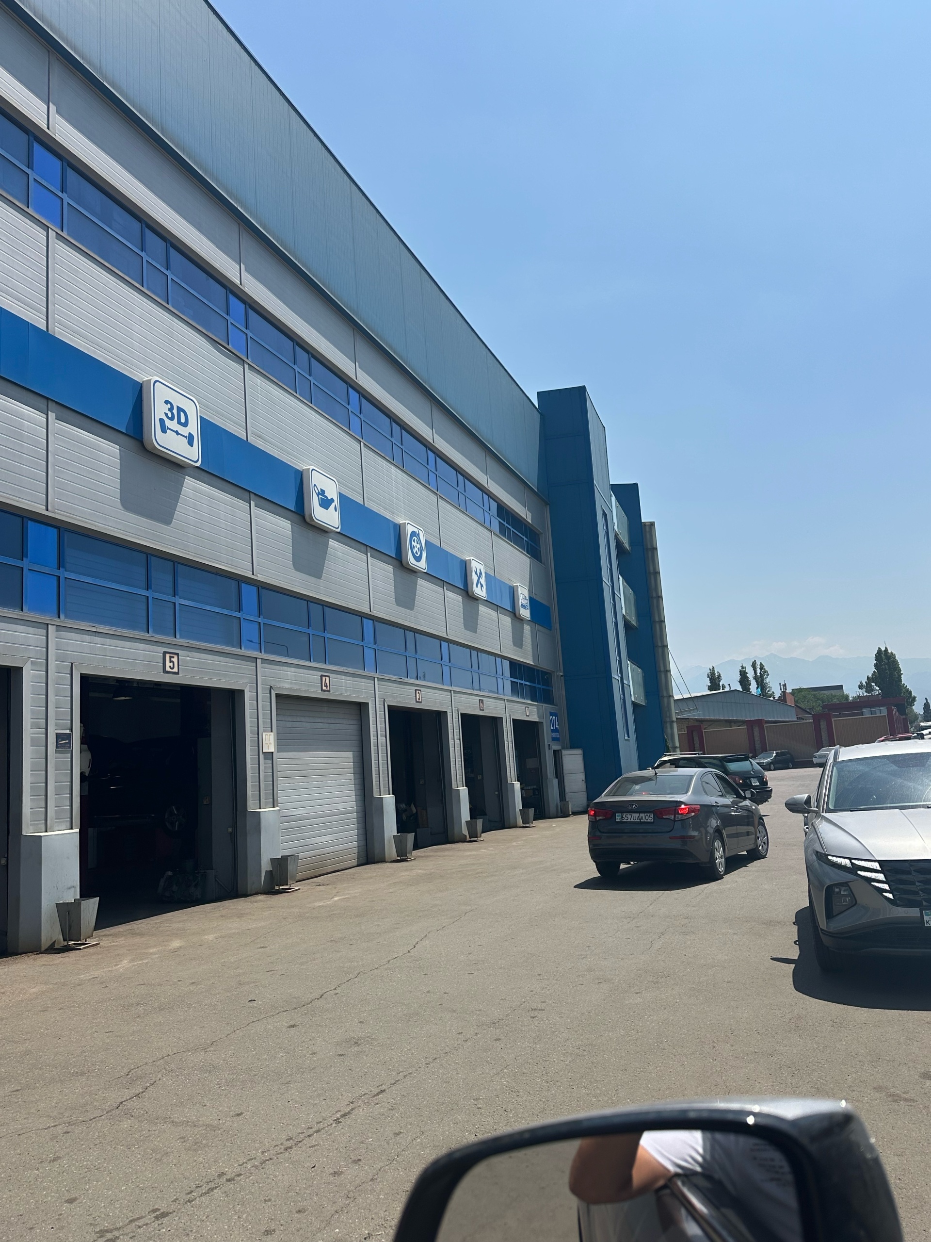 Тілдегі сперматозоидтардың суреті