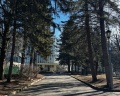 Пикет: отзыв от Marina Z